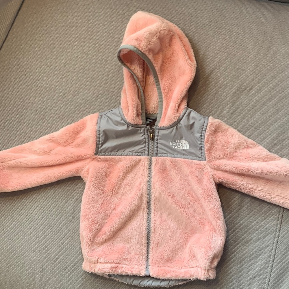 The North Face Oso Zip Fleece Hoodie